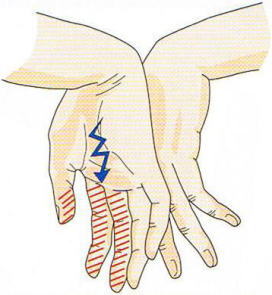 �荪�Ǐǌ�Q,�@��֐ߋ��ȃe�X�g,�@��O��,�@���,�@��ʎ�O�Ȍ�����,�@�����R�s,�@�F�J�s,�@���c�a�@,�@���˃��J���т��a�@,�@��t���F��a�@,�@�����Ȃ�