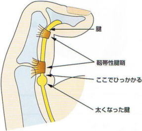 ������w,�@�F,�@�x�ѐ��F��,�@�����łЂ�������,�@�����Ȃ����F,�@��O��,�@���,�@��ʎ�O�Ȍ�����,�@�����R�s,�@�F�J�s,�@���c�a�@,�@���˃��J���т��a�@,�@��t���F��a�@,�@�����Ȃ�