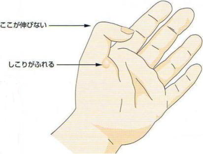 ������w,�@�������L�тȂ�,�@�����肪�ӂ��,�@��O��,�@���,�@��ʎ�O�Ȍ�����,�@�����R�s,�@�F�J�s,�@���c�a�@,�@���˃��J���т��a�@,�@��t���F��a�@,�@�����Ȃ�