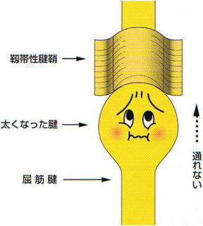 ������w,�@�x�ѐ��F��,�@�����Ȃ����F,�@�����F,�@�ʂ�Ȃ�,�@��O��,�@���,�@��ʎ�O�Ȍ�����,�@�����R�s,�@�F�J�s,�@���c�a�@,�@���˃��J���т��a�@,�@��t���F��a�@,�@�����Ȃ�