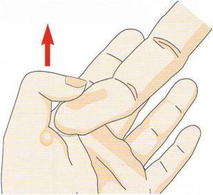 ������w,�@��O��,�@���,�@��ʎ�O�Ȍ�����,�@�����R�s,�@�F�J�s,�@���c�a�@,�@���˃��J���т��a�@,�@��t���F��a�@,�@�����Ȃ�