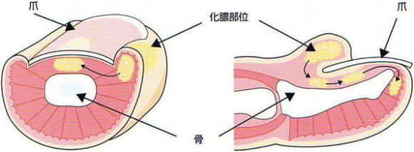 �܎��͉�,�@���^����,�@��,�@��,�@��O��,�@���,�@��ʎ�O�Ȍ�����,�@�����R�s,�@�F�J�s,�@���c�a�@,�@���˃��J���т��a�@,�@��t���F��a�@,�@�����Ȃ�