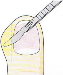 �܎��͉�,�@��O��,�@���,�@��ʎ�O�Ȍ�����,�@�����R�s,�@�F�J�s,�@���c�a�@,�@���˃��J���т��a�@,�@��t���F��a�@,�@�����Ȃ�