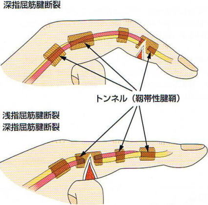 �[�w�����F�f��,�@��w�����F�f��,�@�g���l��,�@�x�ѐ��F��,�@��O��,�@���,�@��ʎ�O�Ȍ�����,�@�����R�s,�@�F�J�s,�@���c�a�@,�@���˃��J���т��a�@,�@��t���F��a�@,�@�����Ȃ�