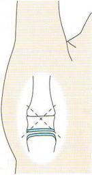 ��wCM�֐ߏ�,�@��O��,�@���,�@��ʎ�O�Ȍ�����,�@�����R�s,�@�F�J�s,�@���c�a�@,�@���˃��J���т��a�@,�@��t���F��a�@,�@�����Ȃ�