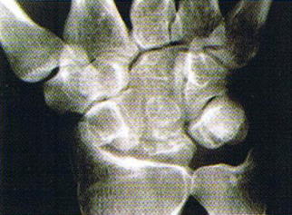 �L�[���x�b�N�a�i���󍜓�ǁj,�@��O��,�@���,�@��ʎ�O�Ȍ�����,�@�����R�s,�@�F�J�s,�@���c�a�@,�@���˃��J���т��a�@,�@��t���F��a�@,�@�����Ȃ�