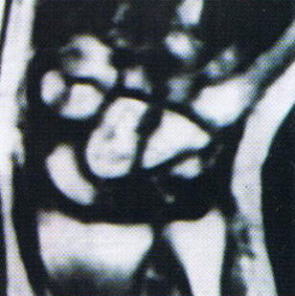 �L�[���x�b�N�a�i���󍜓�ǁj,�@��O��,�@���,�@��ʎ�O�Ȍ�����,�@�����R�s,�@�F�J�s,�@���c�a�@,�@���˃��J���т��a�@,�@��t���F��a�@,�@�����Ȃ�