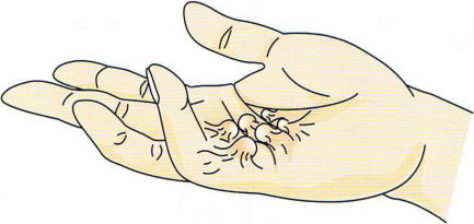 �f���s���C�g�����S�k,�@��O��,�@���,�@��ʎ�O�Ȍ�����,�@�����R�s,�@�F�J�s,�@���c�a�@,�@���˃��J���т��a�@,�@��t���F��a�@,�@�����Ȃ�