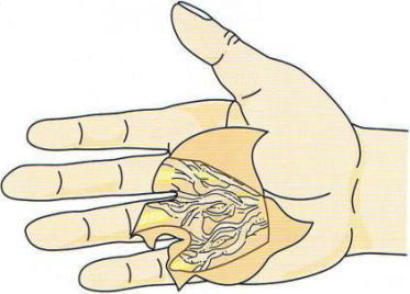 �f���s���C�g�����S�k,�@��O��,�@���,�@��ʎ�O�Ȍ�����,�@�����R�s,�@�F�J�s,�@���c�a�@,�@���˃��J���т��a�@,�@��t���F��a�@,�@�����Ȃ�