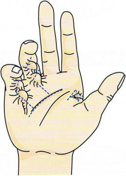 �f���s���C�g�����S�k,�@��O��,�@���,�@��ʎ�O�Ȍ�����,�@�����R�s,�@�F�J�s,�@���c�a�@,�@���˃��J���т��a�@,�@��t���F��a�@,�@�����Ȃ�