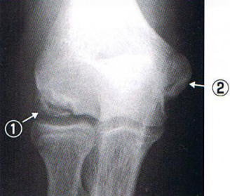 �싅�I,�@��O��,�@���,�@��ʎ�O�Ȍ�����,�@�����R�s,�@�F�J�s,�@���c�a�@,�@���˃��J���т��a�@,�@��t���F��a�@,�@�����Ȃ�