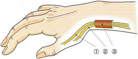 �h�P���o���a,�@�����F�≊,�@�Z��w�L���F,�@����w�O�]���F,�@�F��,�@��O��,�@���,�@��ʎ�O�Ȍ�����,�@�����R�s,�@�F�J�s,�@���c�a�@,�@���˃��J���т��a�@,�@��t���F��a�@,�@�����Ȃ�