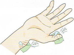 �h�P���o���a,�@�����F�≊,�@��O��,�@���,�@��ʎ�O�Ȍ�����,�@�����R�s,�@�F�J�s,�@���c�a�@,�@���˃��J���т��a�@,�@��t���F��a�@,�@�����Ȃ�