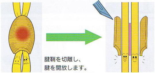 �h�P���o���a,�@�����F�≊,�@�F���ؗ����A�F���J�����܂�,�@��O��,�@���,�@��ʎ�O�Ȍ�����,�@�����R�s,�@�F�J�s,�@���c�a�@,�@���˃��J���т��a�@,�@��t���F��a�@,�@�����Ȃ�