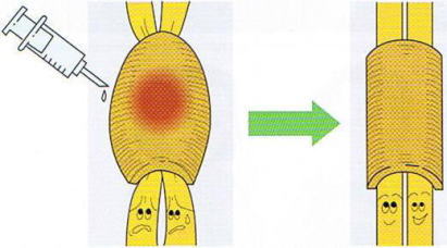 �h�P���o���a,�@�����F�≊,�@��O��,�@���,�@��ʎ�O�Ȍ�����,�@�����R�s,�@�F�J�s,�@���c�a�@,�@���˃��J���т��a�@,�@��t���F��a�@,�@�����Ȃ�