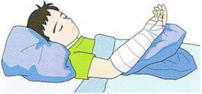 �㎈�̋���,�@��O��,�@���,�@��ʎ�O�Ȍ�����,�@�����R�s,�@�F�J�s,�@���c�a�@,�@���˃��J���т��a�@,�@��t���F��a�@,�@�����Ȃ�