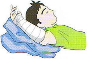 �㎈�̋���,�@��O��,�@���,�@��ʎ�O�Ȍ�����,�@�����R�s,�@�F�J�s,�@���c�a�@,�@���˃��J���т��a�@,�@��t���F��a�@,�@�����Ȃ�