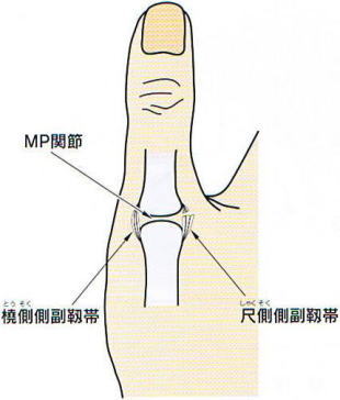 MP�֐�,�@���������x��,�@�ڑ������x��,�@��wMP�֐ߐx�ё���,�@��O��,�@���,�@��ʎ�O�Ȍ�����,�@�����R�s,�@�F�J�s,�@���c�a�@,�@���˃��J���т��a�@,�@��t���F��a�@,�@�����Ȃ�