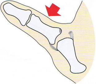 ��wMP�֐ߐx�ё���,�@��O��,�@���,�@��ʎ�O�Ȍ�����,�@�����R�s,�@�F�J�s,�@���c�a�@,�@���˃��J���т��a�@,�@��t���F��a�@,�@�����Ȃ�