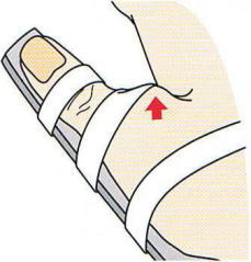 ��wMP�֐ߐx�ё���,�@��O��,�@���,�@��ʎ�O�Ȍ�����,�@�����R�s,�@�F�J�s,�@���c�a�@,�@���˃��J���т��a�@,�@��t���F��a�@,�@�����Ȃ�