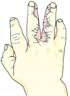 ���w��,�@��O��,�@���,�@��ʎ�O�Ȍ�����,�@�����R�s,�@�F�J�s,�@���c�a�@,�@���˃��J���т��a�@,�@��t���F��a�@,�@�����Ȃ�