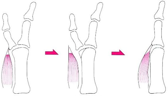 ��w���w��,�@��O��,�@���,�@��ʎ�O�Ȍ�����,�@�����R�s,�@�F�J�s,�@���c�a�@,�@���˃��J���т��a�@,�@��t���F��a�@,�@�����Ȃ�