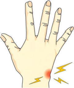 TFCC�i�O�p���ۓ�����́j����,�@��O��,�@���,�@��ʎ�O�Ȍ�����,�@�����R�s,�@�F�J�s,�@���c�a�@,�@���˃��J���т��a�@,�@��t���F��a�@,�@�����Ȃ�