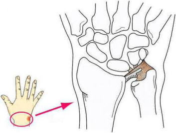 TFCC�i�O�p���ۓ�����́j����,�@��O��,�@���,�@��ʎ�O�Ȍ�����,�@�����R�s,�@�F�J�s,�@���c�a�@,�@���˃��J���т��a�@,�@��t���F��a�@,�@�����Ȃ�