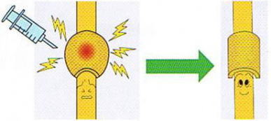 �΂ˎw,�@�e���w,�@��O��,�@���,�@��ʎ�O�Ȍ�����,�@�����R�s,�@�F�J�s,�@���c�a�@,�@���˃��J���т��a�@,�@��t���F��a�@,�@�����Ȃ�