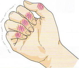 �w�o�[�f������,�@��O��,�@���,�@��ʎ�O�Ȍ�����,�@�����R�s,�@�F�J�s,�@���c�a�@,�@���˃��J���т��a�@,�@��t���F��a�@,�@�����Ȃ�