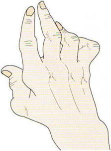 �w�o�[�f������,�@��O��,�@���,�@��ʎ�O�Ȍ�����,�@�����R�s,�@�F�J�s,�@���c�a�@,�@���˃��J���т��a�@,�@��t���F��a�@,�@�����Ȃ�