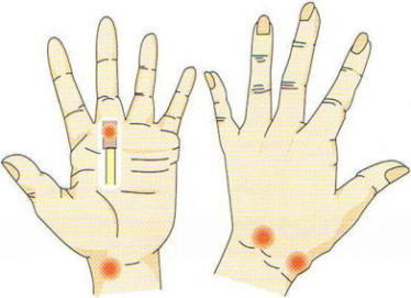 �K���O���I��,�@��O��,�@���,�@��ʎ�O�Ȍ�����,�@�����R�s,�@�F�J�s,�@���c�a�@,�@���˃��J���т��a�@,�@��t���F��a�@,�@�����Ȃ�