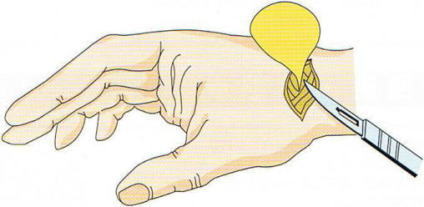 �K���O���I��,�@��O��,�@���,�@��ʎ�O�Ȍ�����,�@�����R�s,�@�F�J�s,�@���c�a�@,�@���˃��J���т��a�@,�@��t���F��a�@,�@�����Ȃ�