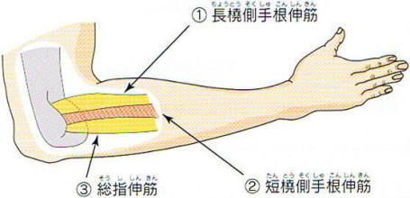 �e�j�X�I,�@��r���O��������,�@�������荪�L��,�@�Z�����荪�L��,�@���w�L��,�@��O��,�@���,�@��ʎ�O�Ȍ�����,�@�����R�s,�@�F�J�s,�@���c�a�@,�@���˃��J���т��a�@,�@��t���F��a�@,�@�����Ȃ�