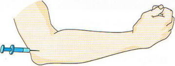 �e�j�X�I,�@��r���O��������,�@��O��,�@���,�@��ʎ�O�Ȍ�����,�@�����R�s,�@�F�J�s,�@���c�a�@,�@���˃��J���т��a�@,�@��t���F��a�@,�@�����Ȃ�