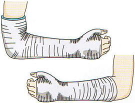 �M�󍜍���,�@��O��,�@���,�@��ʎ�O�Ȍ�����,�@�����R�s,�@�F�J�s,�@���c�a�@,�@���˃��J���т��a�@,�@��t���F��a�@,�@�����Ȃ�