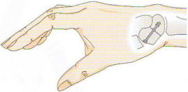 �M�󍜍���,�@��O��,�@���,�@��ʎ�O�Ȍ�����,�@�����R�s,�@�F�J�s,�@���c�a�@,�@���˃��J���т��a�@,�@��t���F��a�@,�@�����Ȃ�