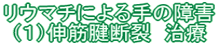 リウマチによる手の障害 (1)伸筋腱断裂 治療